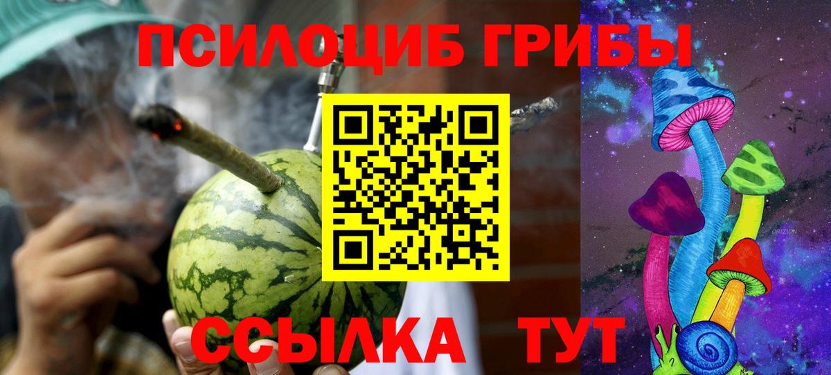 Псилоцибиновые грибы мухоморы  Галлюциногенные грибы GOLDEN TEACHER  Владимир  Вход с VPN 