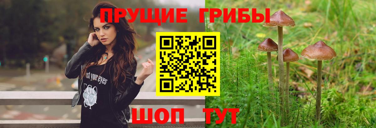 Галлюциногенные грибы Magic Shrooms Владимир